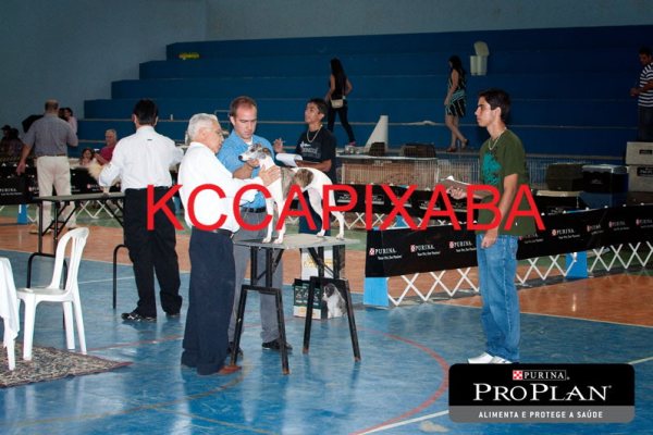 Clique sobre a foto para fechar